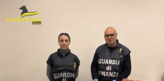 Sequestrate a Torino 12 mila console di gioco con videogame piratati