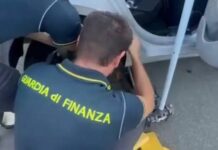 Trasportava in auto 28 chili di cocaina, arrestato corriere