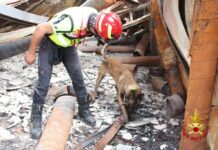 Incendio Milano, in arrivo unità cinofila per stabilire dolosità fiamme