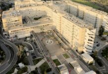 World’s Best Specialized Hospitals 2025, il Gemelli tra le eccellenze