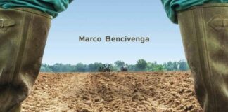 Libri, “Un solco profondo”, Marco Bencivenga racconta famiglia Bettoni