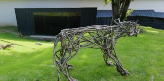 Bergamo, apre al pubblico lo spazio green di Accademia Carrara