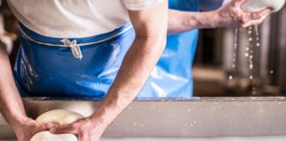 Mozzarella di bufala, a Napoli il primo congresso internazionale