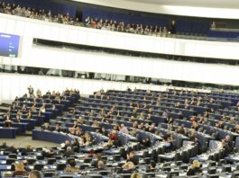 Il Parlamento europeo ha approvato una clausola di salvaguardia per l’accordo UE-Mercosur