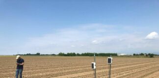 Filiera del tabacco, BAT Italia lancia WePlant