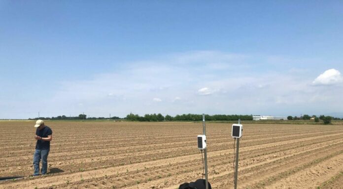 Filiera del tabacco, BAT Italia lancia WePlant