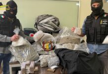 Traffico di droga tra Sicilia-Spagna-Malta, 9 arresti