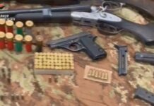 Arsenale trovato in provincia di Vibo Valentia, sequestrate armi e munizioni