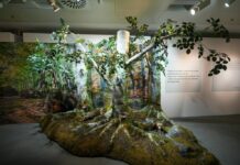A Milano mostra “Cum Tucte”, occasione per confronto tra uomo e ambiente