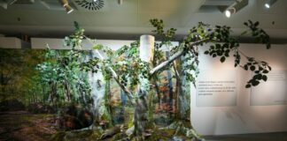 A Milano mostra “Cum Tucte”, occasione per confronto tra uomo e ambiente