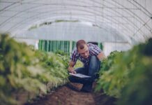 Agroqualità diventa RINA Agrifood