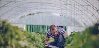 Agroqualità diventa RINA Agrifood