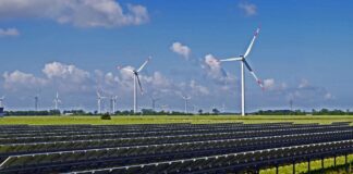 Fonti rinnovabili: quali sono le più promettenti per l’Italia eolico solare