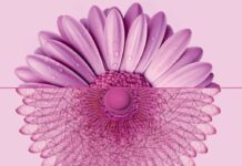 Al via nel Lazio ottobre rosa per la diagnosi precoce dei tumori al seno