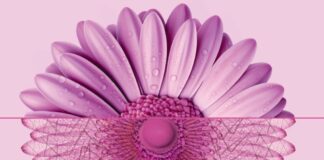 Al via nel Lazio ottobre rosa per la diagnosi precoce dei tumori al seno