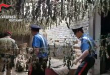 Bidoni con 2.5 quintali di droga interrati nel reggino, arrestato 44enne