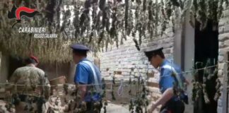 Bidoni con 2.5 quintali di droga interrati nel reggino, arrestato 44enne