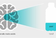 Nel cervello umano l’equivalente di 1/3 di una bottiglia di plastica