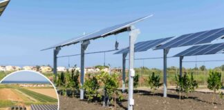 Agrivoltaico, al via impianto hitech Enea/Ef solare Italia in Calabria