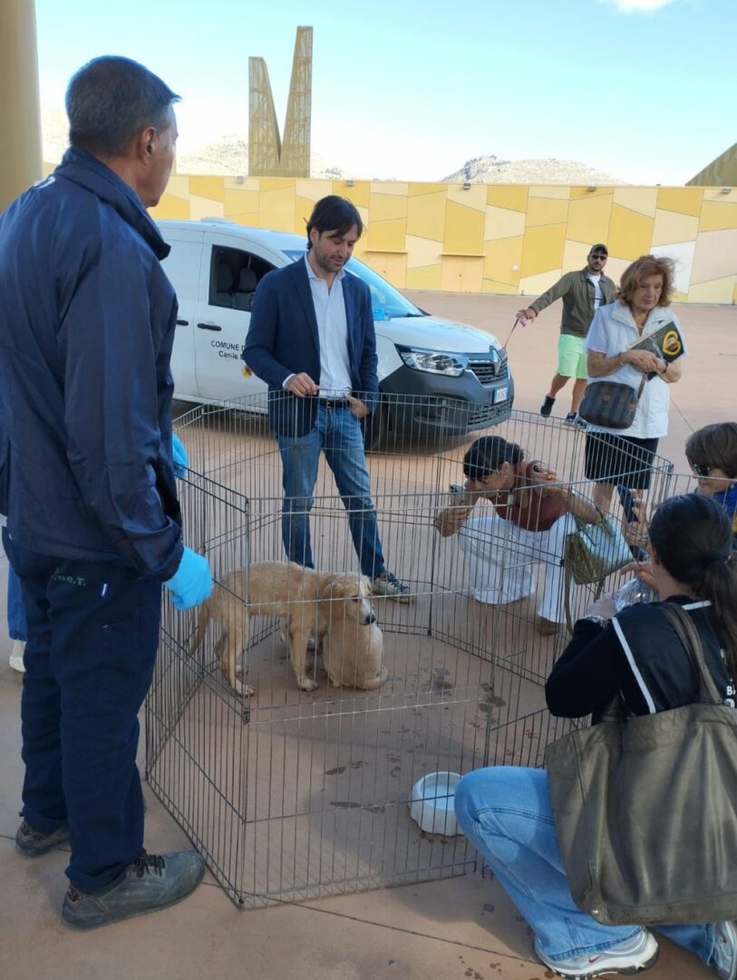 Palermo, Ferrandelli “Sold out di microchip oggi al centro Conca d’Oro” Palermo, Ferrandelli “Sold out di microchip oggi al centro Conca d’Oro”