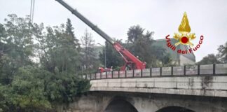 Milano, Vvf liberano Lambro da tronchi in vista di allerta meteo