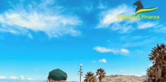 Sequestrati 280 chili di cocaina nel porto di Gioia Tauro