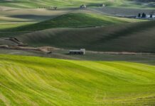 Basilicata, 25 milioni di euro per l’agricoltura lucana