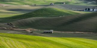 Basilicata, 25 milioni di euro per l’agricoltura lucana
