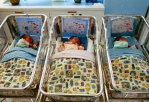 Nel 2023 nuovo record denatalità, in calo anche nati da stranieri