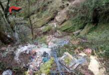Rinvenuti rifiuti pericolosi nel Parco Nazionale d’Aspromonte