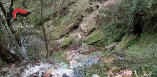 Rinvenuti rifiuti pericolosi nel Parco Nazionale d’Aspromonte