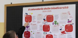 Riparte progetto scuole E.On su biodiversità ed energia rinnovabile