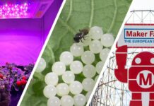 ENEA a Maker Faire 2024 con orti spaziali e lotta alle specie aliene