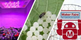 ENEA a Maker Faire 2024 con orti spaziali e lotta alle specie aliene