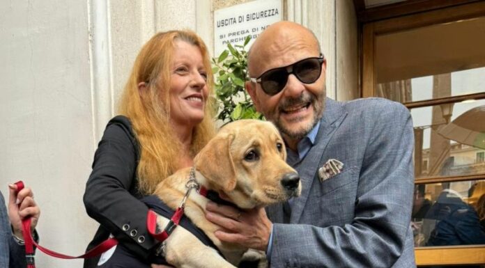 Tutela del cane guida e di assistenza, verso una legge più inclusiva