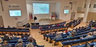 Verona ospiterà il primo museo internazionale del vino in Italia