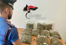 In auto con 5 chili di droga, 28enne arrestato a Lamezia Terme