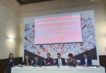 Vodafone-Youtrend, per 70% italiani importante la transizione gemella