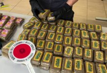 Sequestrati 40 chili di hashish, un arresto nel nisseno