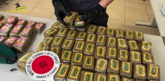 Sequestrati 40 chili di hashish, un arresto nel nisseno