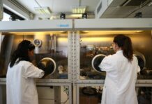 In Europa solo 1 studente su 4 segue percorsi in ambito Stem