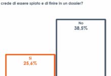 Dossieraggio, un italiano su quattro crede di essere spiato