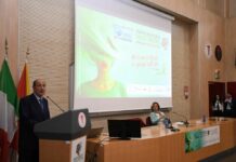 Salute Mentale, Schifani “Regione impegnata per cure e lotta ai pregiudizi”