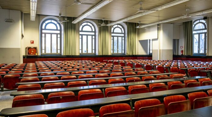 Lavoro, serve education orientata alle qualificazioni alte e medie