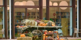 Ritmi arancio in Vez, in arrivo le proposte autunnali