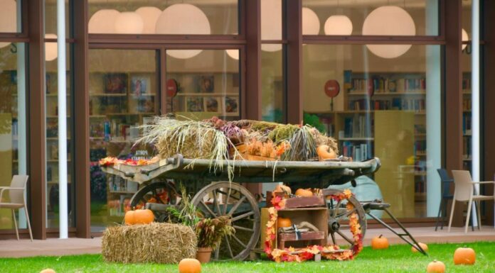 Ritmi arancio in Vez, in arrivo le proposte autunnali