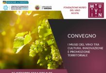 Musei del Vino tra cultura e promozione territoriale, il 25 ottobre esperti a confronto a Verona