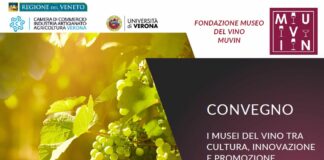 Musei del Vino tra cultura e promozione territoriale, il 25 ottobre esperti a confronto a Verona