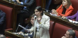 شلاين: ملتزمون ببناء التحالفات.. ولا ندعم ولاية ثالثة