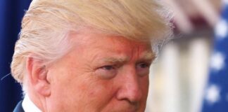 Gli Stati Uniti voltano pagina, Trump torna alla Casa Bianca. Harris lo chiama per congratularsi